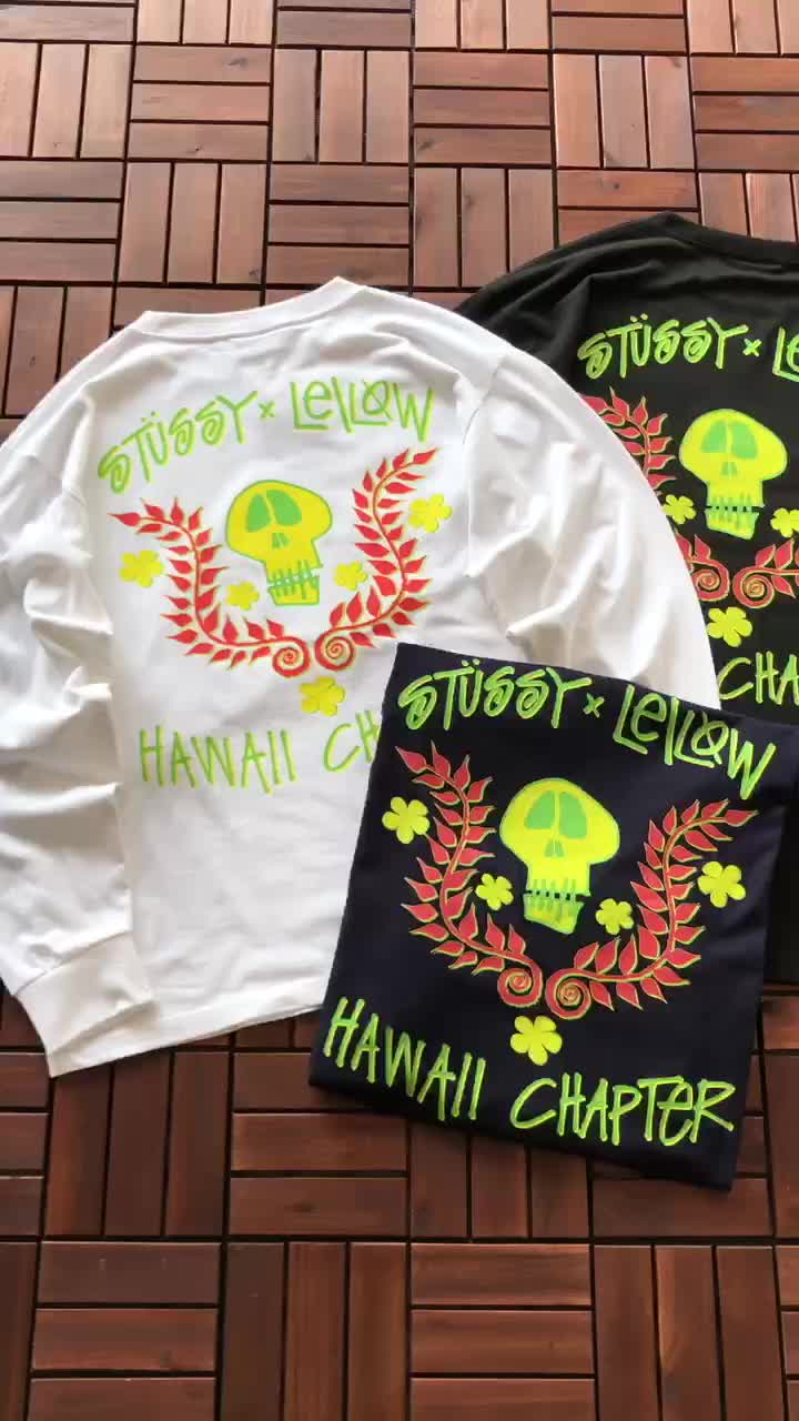 Лонгслив Stussy Inscription Hawaii Chapter "White" фото № 6