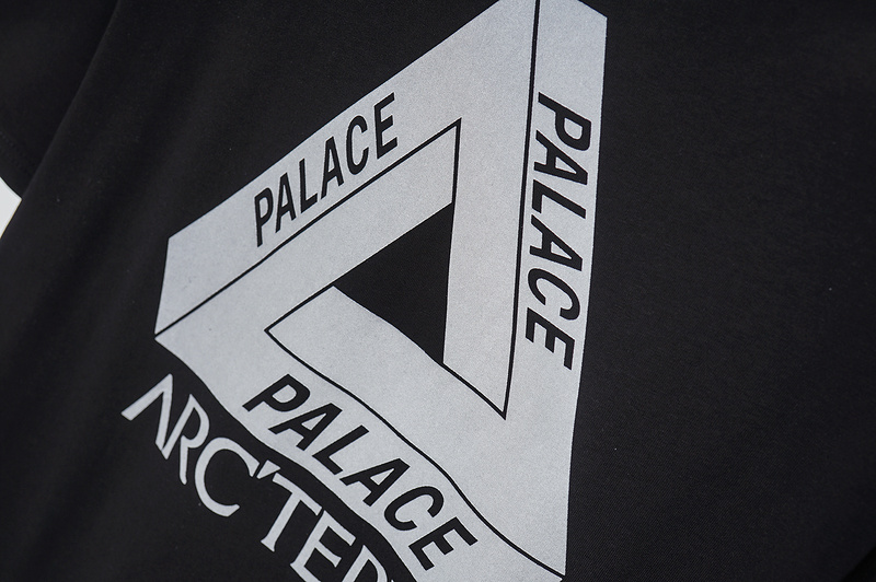 Футболка Arcteryx Inscription Palace "Black" фото № 6