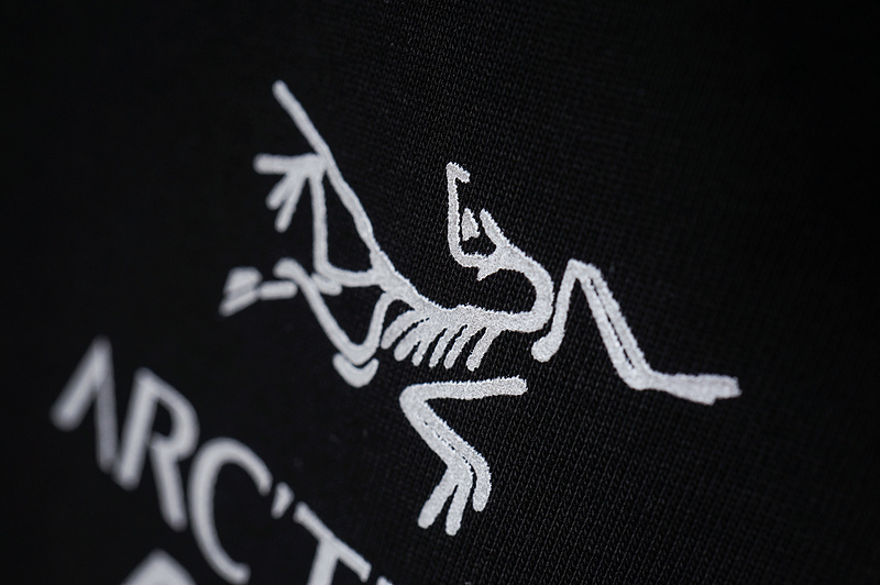 Футболка Arcteryx Inscription Palace "Black" фото № 9