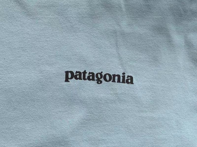 Футболка Patagonia Mountain View And Lettering Save Our Home Planet "Blue" фото № 9