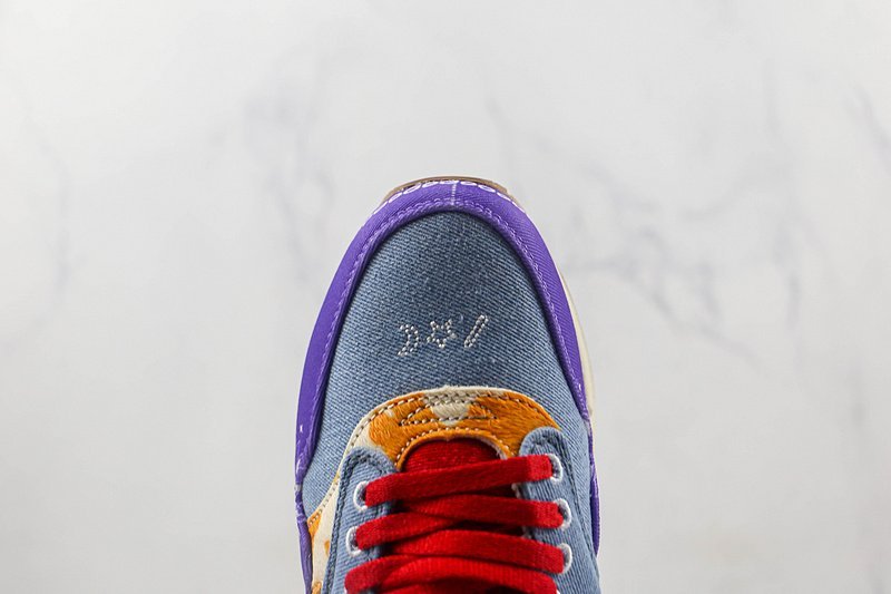 Nike Air Max 1 SP "Concepts Far Out" фото № 3