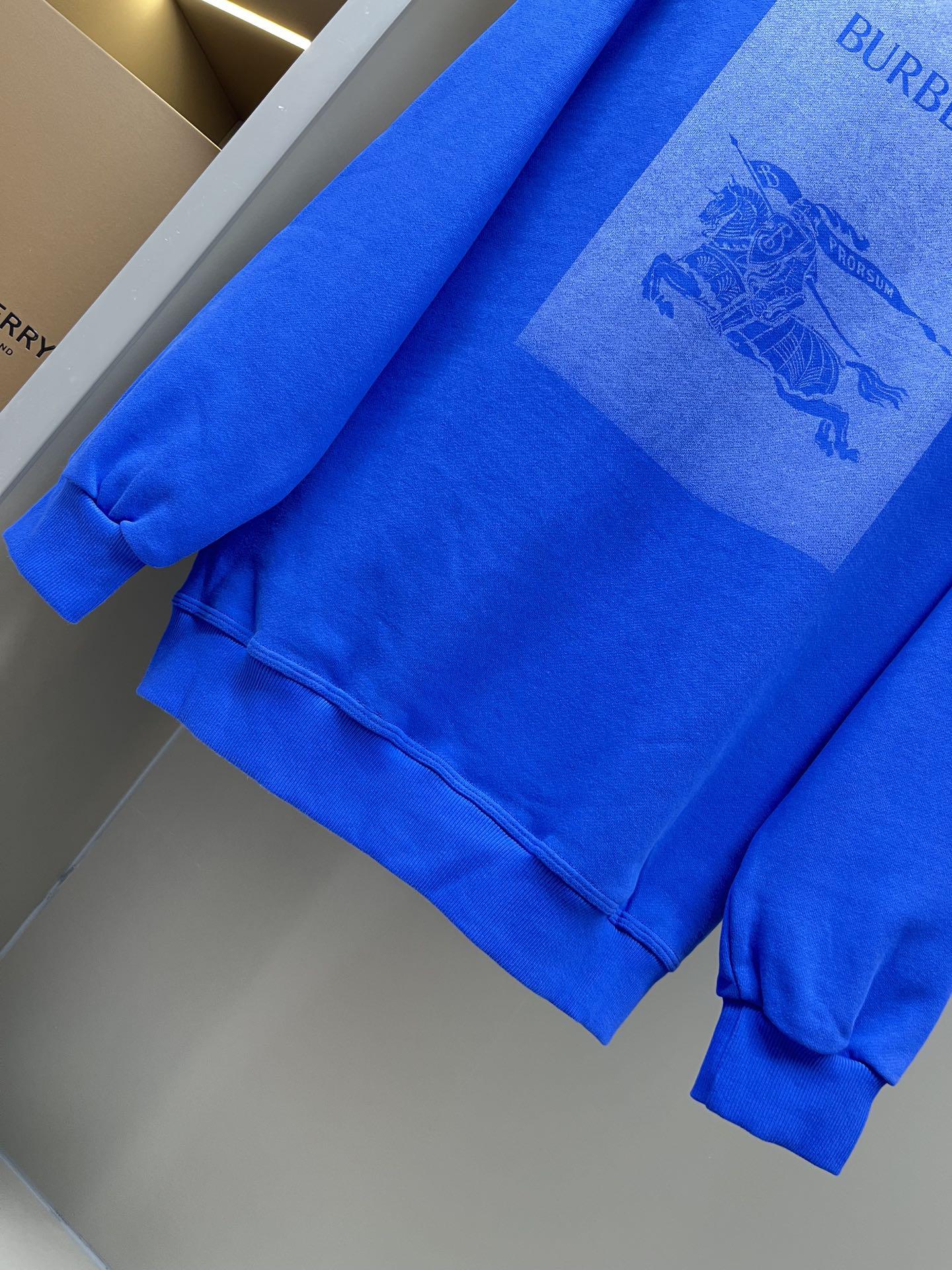 Свитшот Burberry Backside Print Warrior On The Horse "Blue" фото № 4