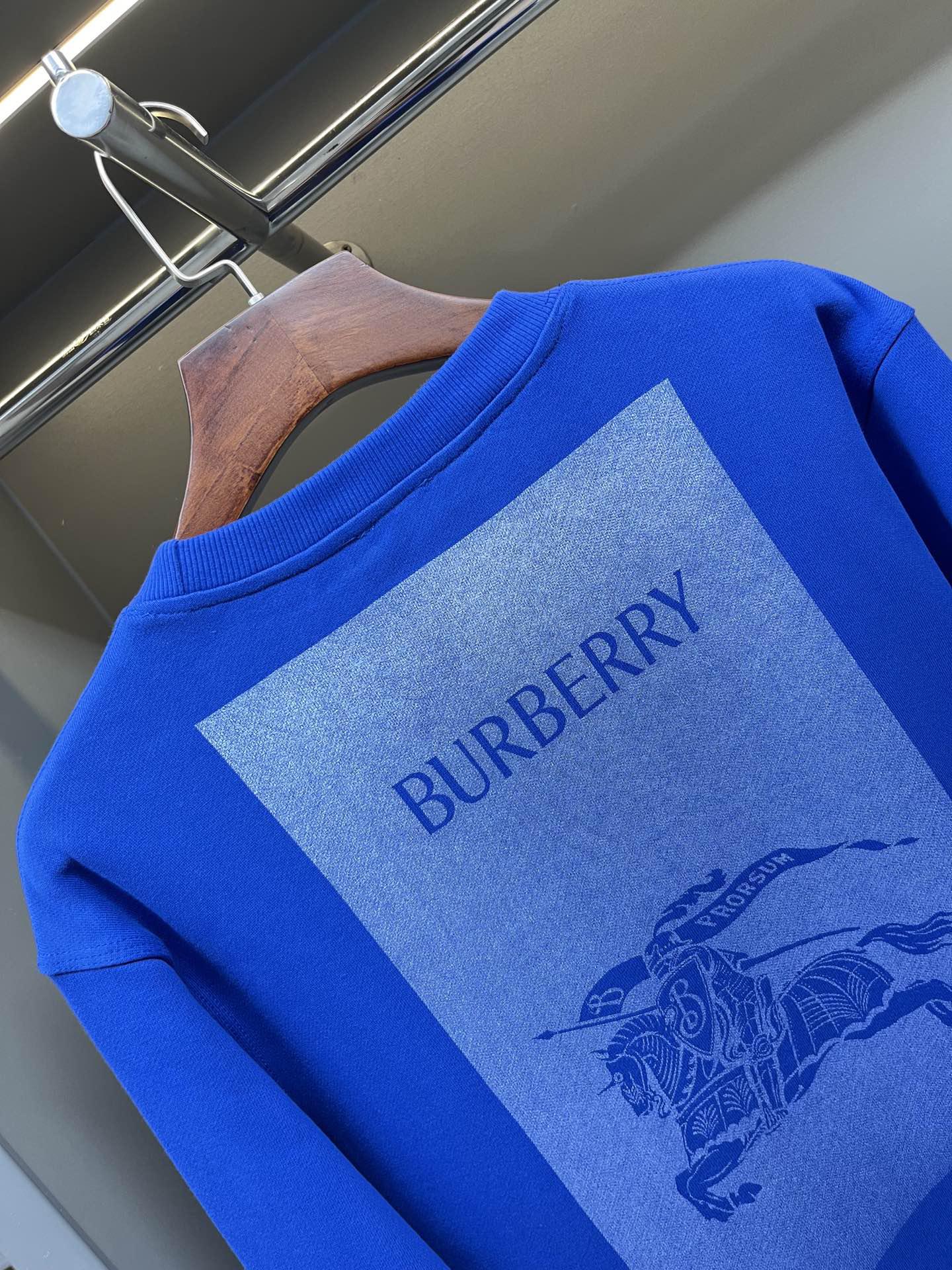 Свитшот Burberry Backside Print Warrior On The Horse "Blue" фото № 2