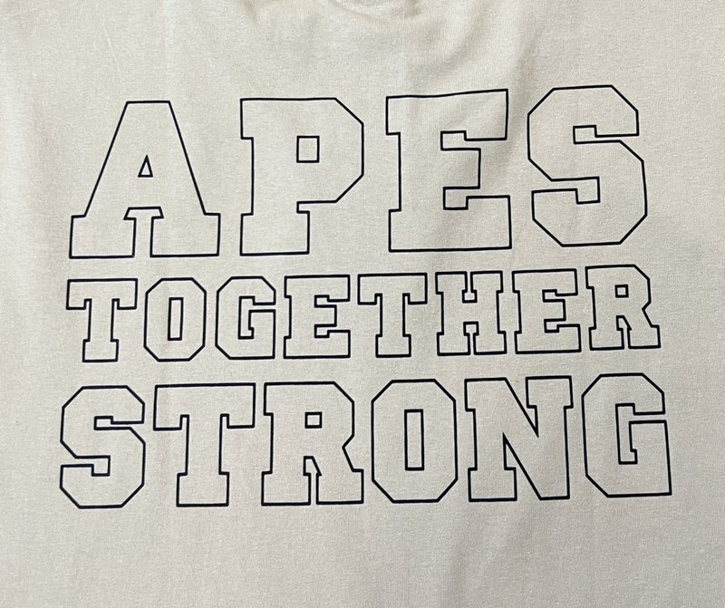 Футболка A Bathing Ape Apes Together Strong "Cream" фото № 6