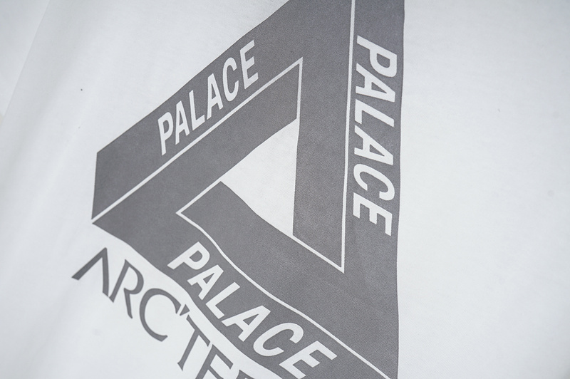 Футболка Arcteryx Inscription Palace "White" фото № 3