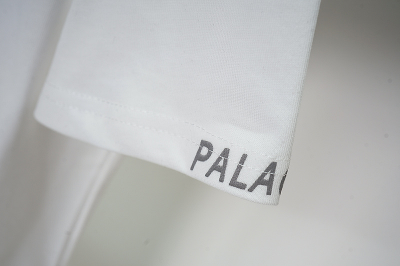 Футболка Arcteryx Inscription Palace "White" фото № 4