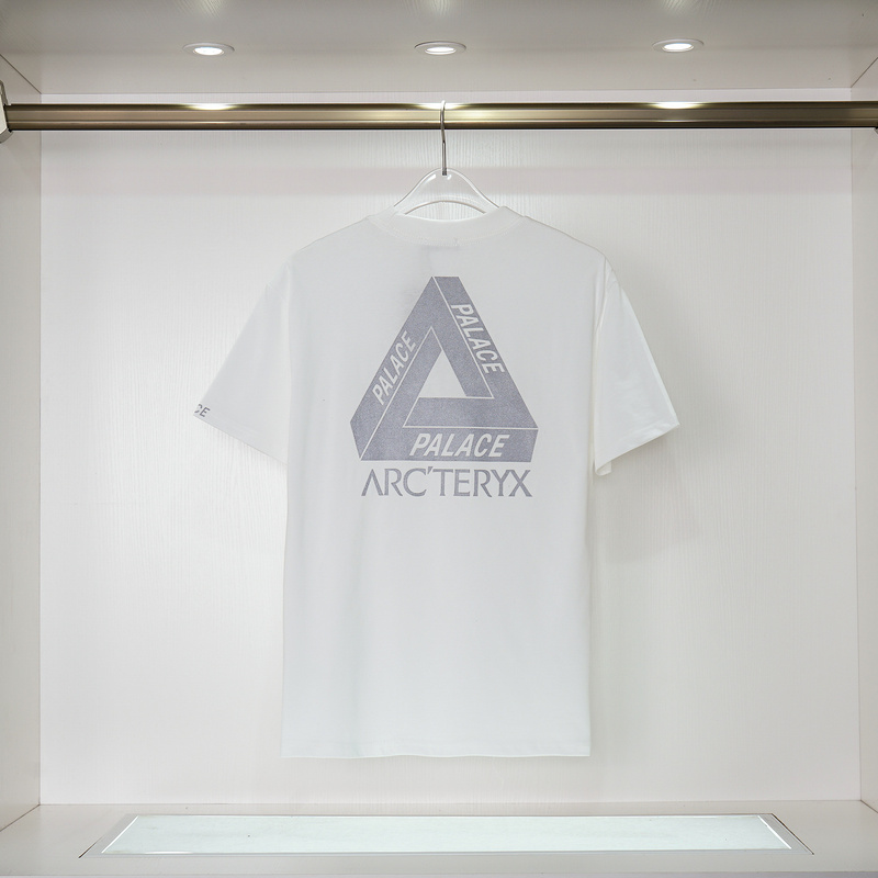 Футболка Arcteryx Inscription Palace "White" фото № 9