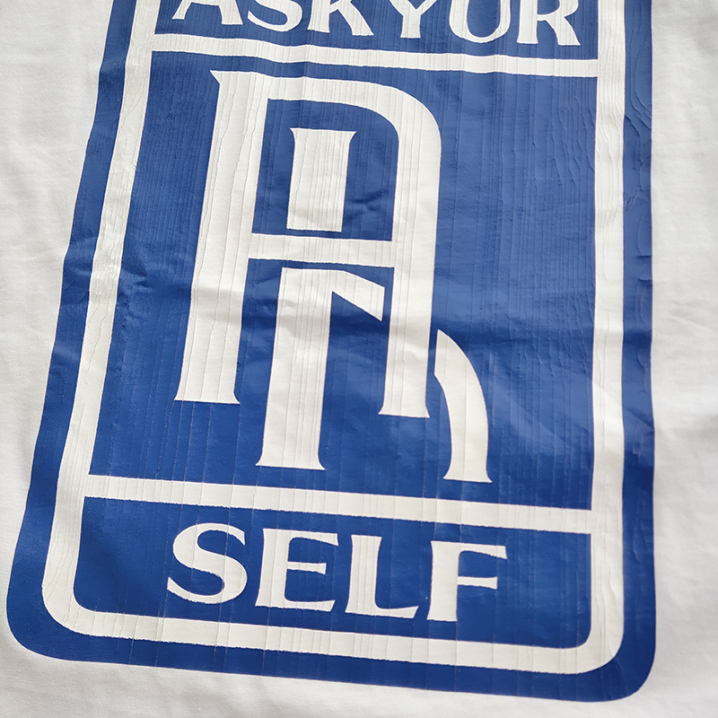 Футболка Askyurself Big Logo "White" фото № 2