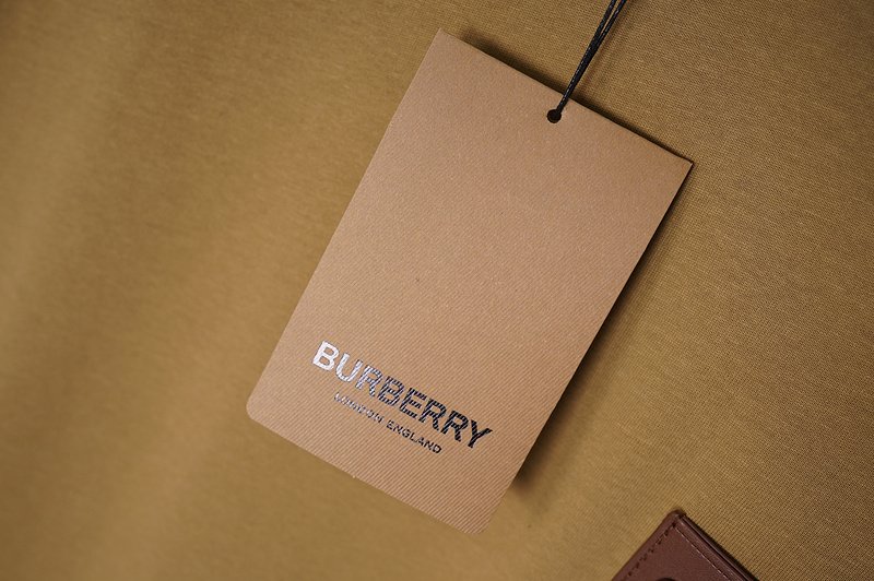 Футболка Burberry Established 1856 "Brown" фото № 5