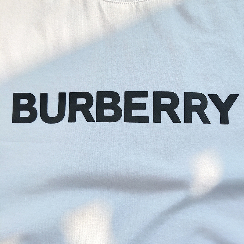 Футболка Burberry Base With Logo "White" фото № 6