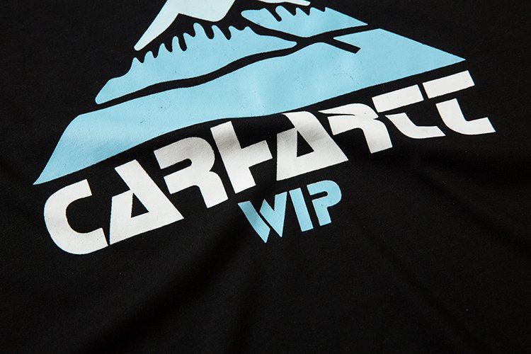 Футболка Carhartt Mountains "Black" фото № 5