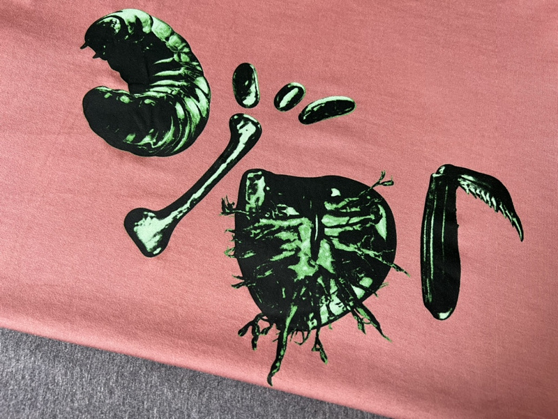 Футболка Dior Insect Logo "Pink" фото № 2