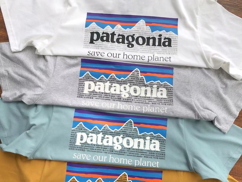 Футболка Patagonia Mountain View And Lettering Save Our Home Planet "Gray" фото № 3