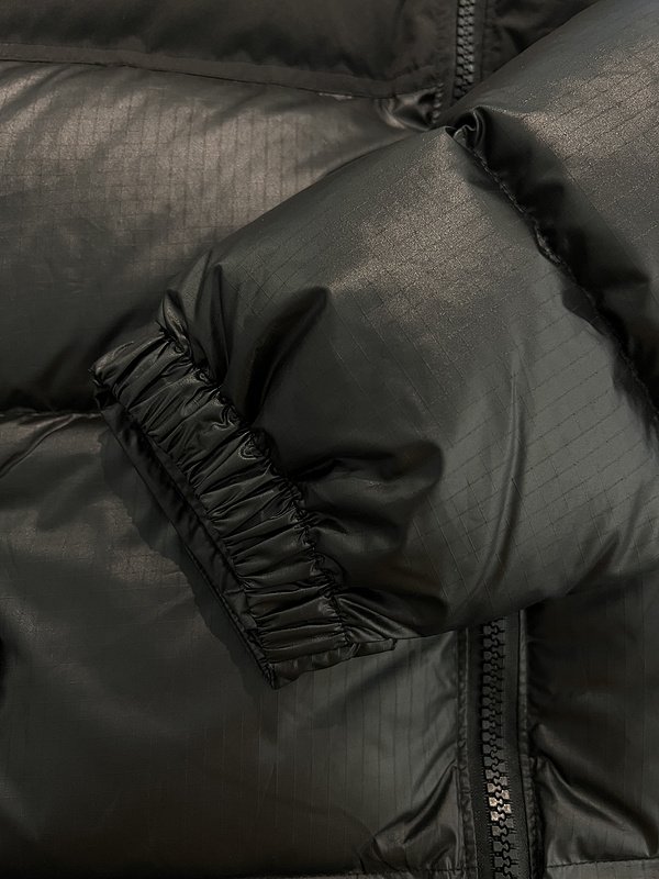 Пуховик The North Face Premium Goose Down "Black" фото № 6