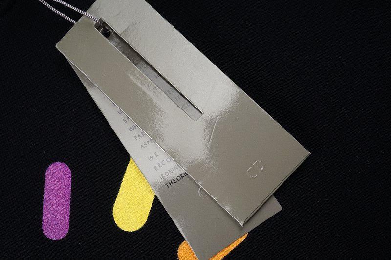 Свитшот Christian Dior Rainbow Rays Of The Logo "Black" фото № 6