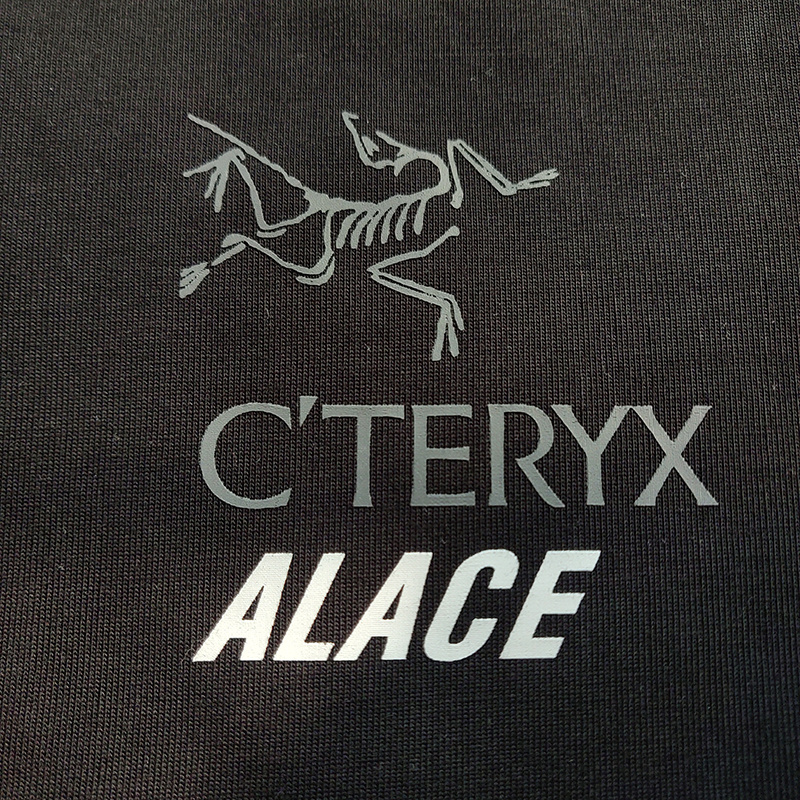 Футболка Arcteryx Logo With Print "Black" фото № 9
