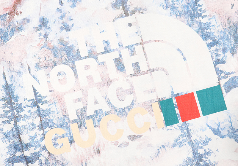 Футболка Gucci X The North Face Big Logo "White/Blue" фото № 9