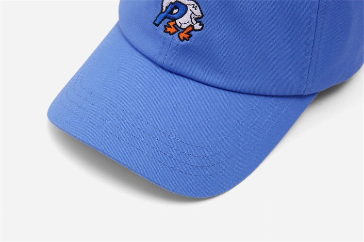 Кепка Arcteryx Duck "Blue" фото № 4