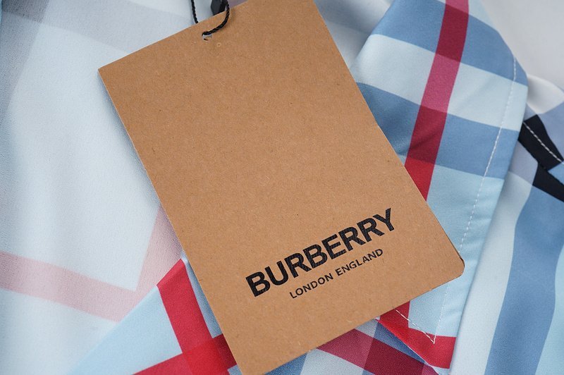 Рубашка Burberry Large Check Print "Blue" фото № 3