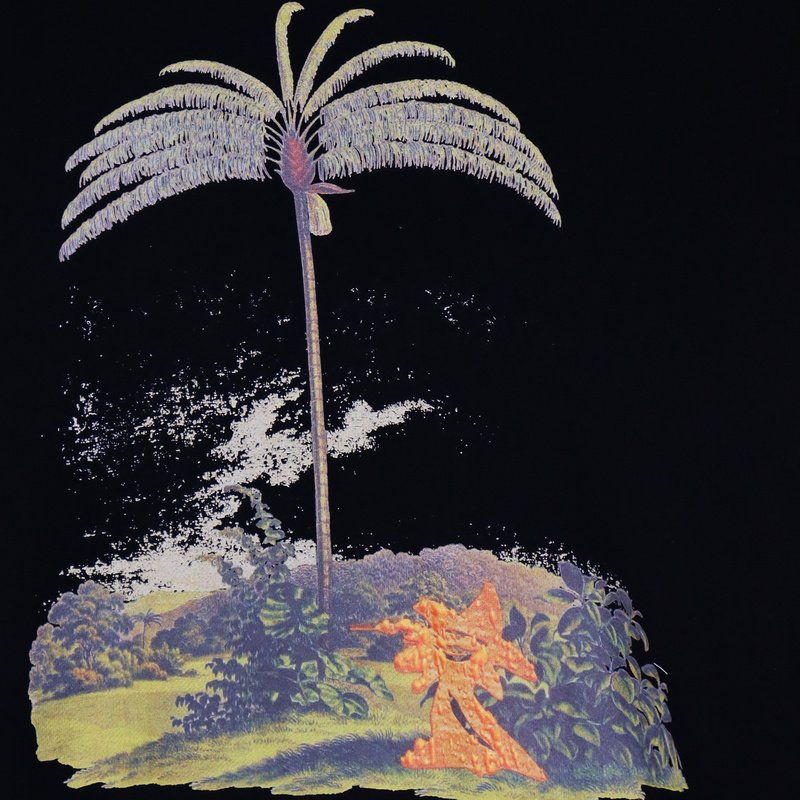 Худи Palm Angels Palm Tree On The Island "Black" фото № 5