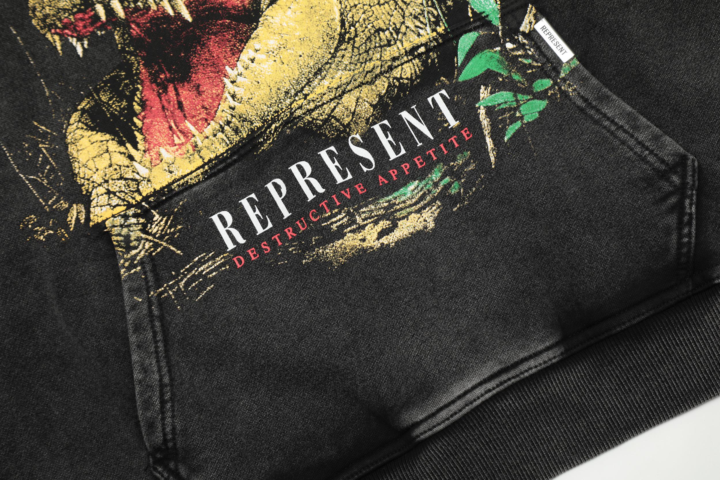 Худи Represent Dinosaur "Black" фото № 8