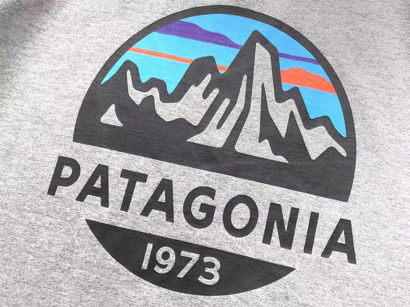 Лонгслив Patagonia Mountain Landscape Inside Circle "Gray" фото № 3