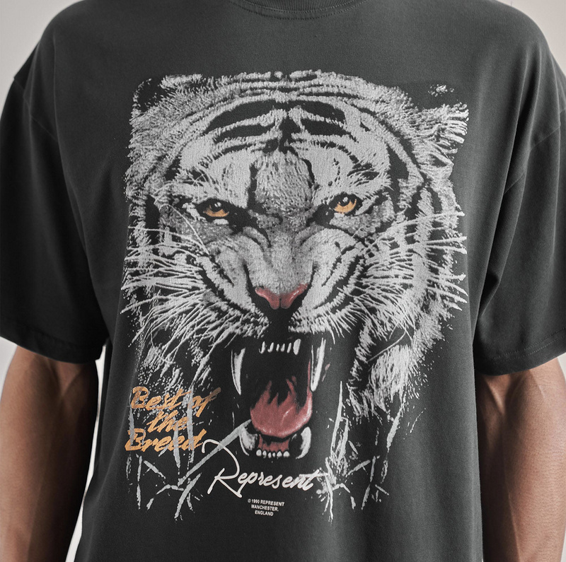 Футболка Represent Lion "Black" фото № 4