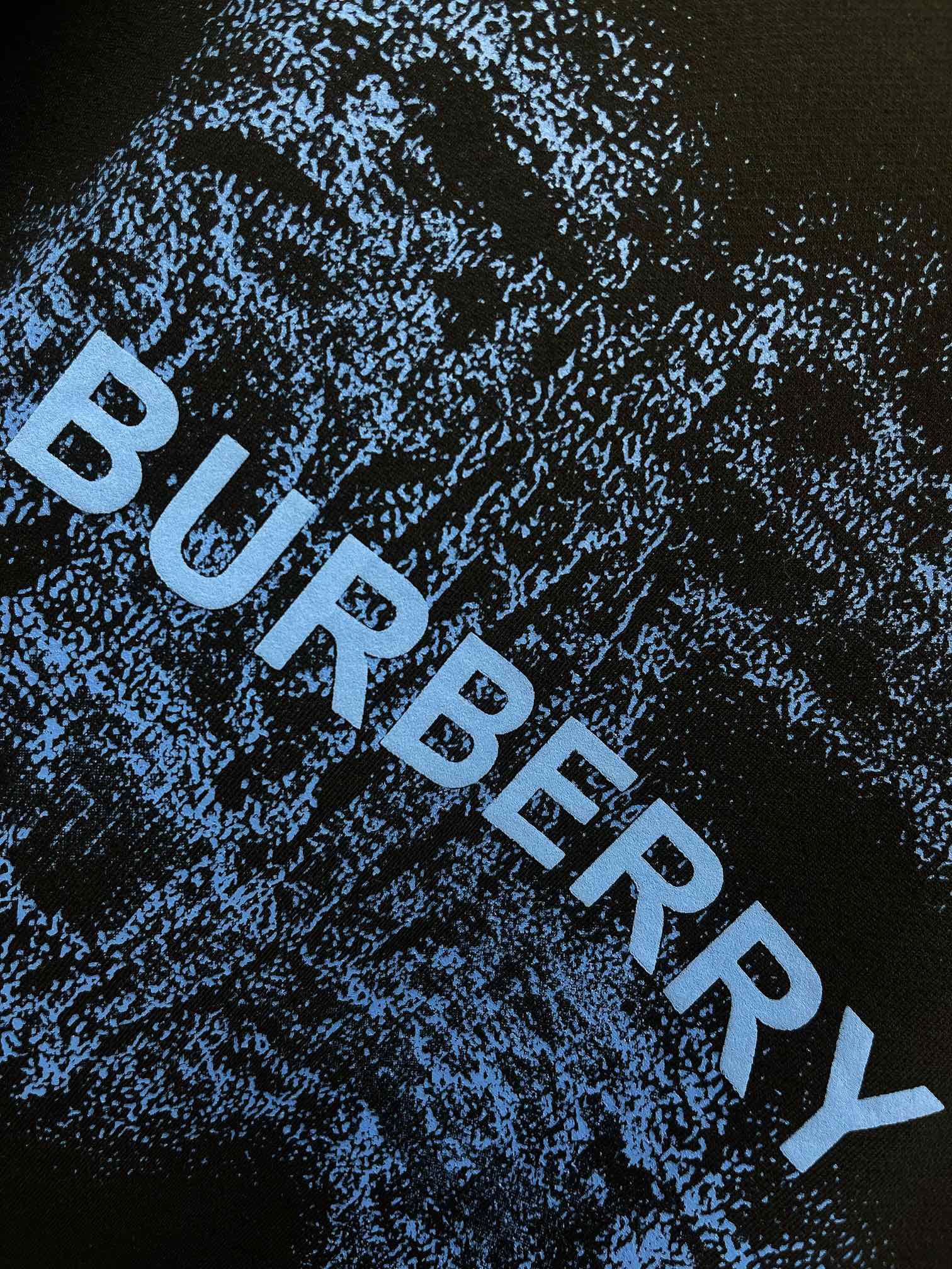 Свитшот Burberry Frontside Print Blue Warrior And Horse Blue Logo "Black" фото № 3