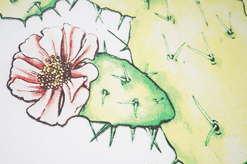 Футболка Casablanca Blooming Cactus "White" фото № 3