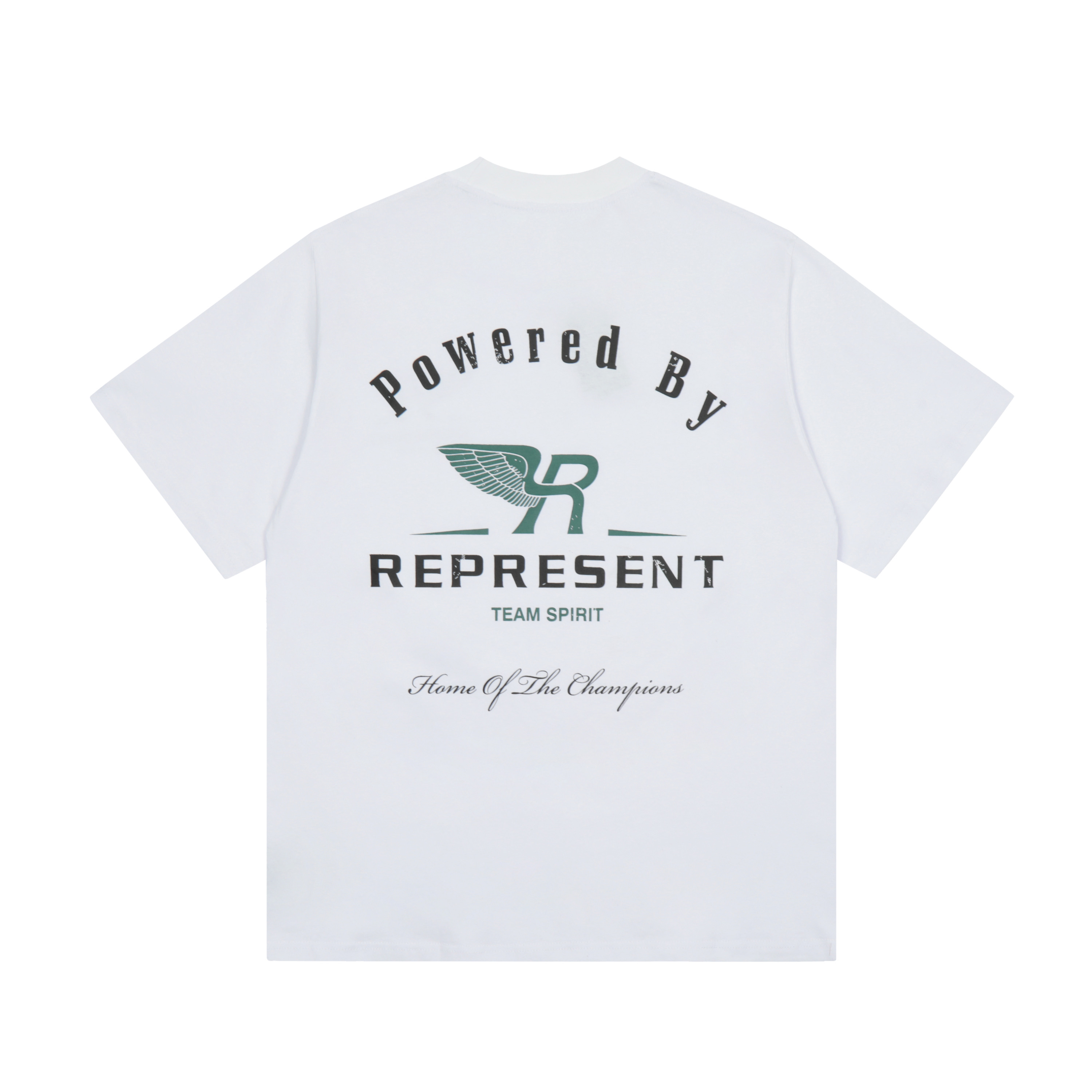 Футболка Represent Team Spirit R Wing "White" фото № 2