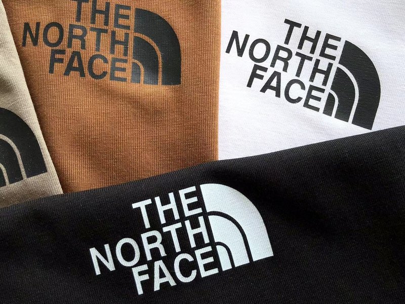 Футболка The North Face Plain With Small Front Logo "Brown" фото № 4