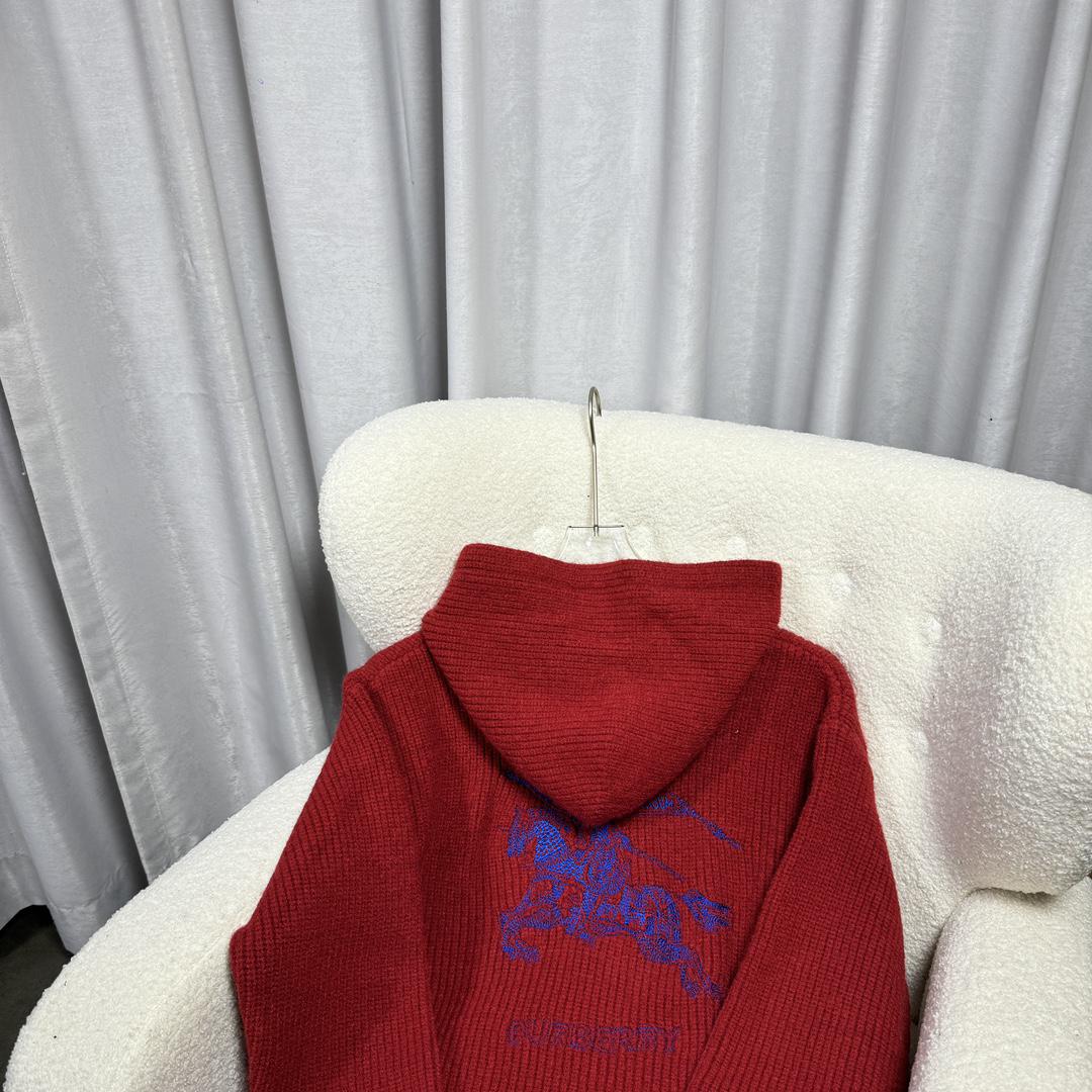 Худи Burberry Backside Print Navy Blue Warrior On The Horse "Red" фото № 3