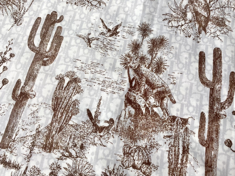 Ветровка Dior Cactus Desert Print "White/Brown" фото № 7