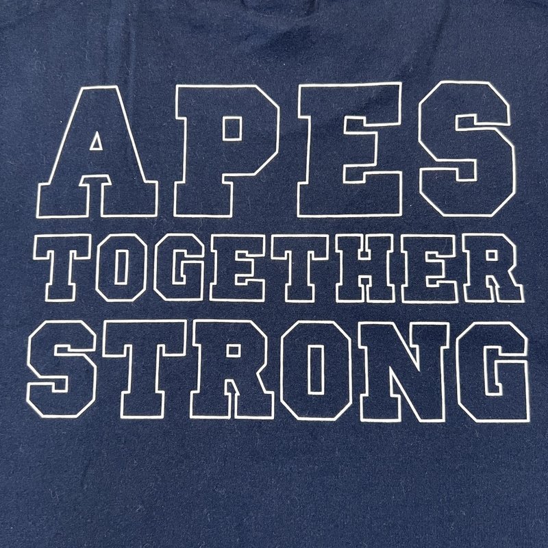 Футболка A Bathing Ape Apes Together Strong "Blue" фото № 5