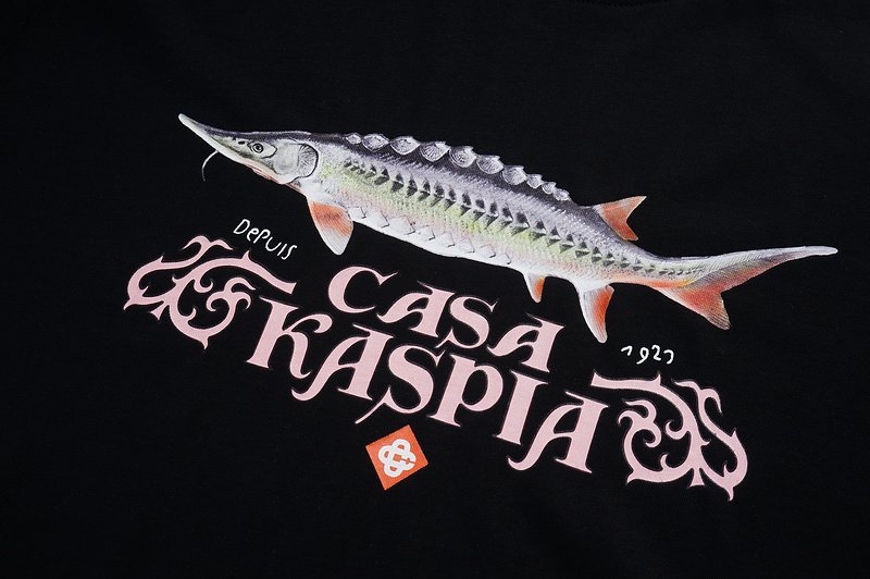 Футболка Casablanca Casa Kaspia Print "Black" фото № 2