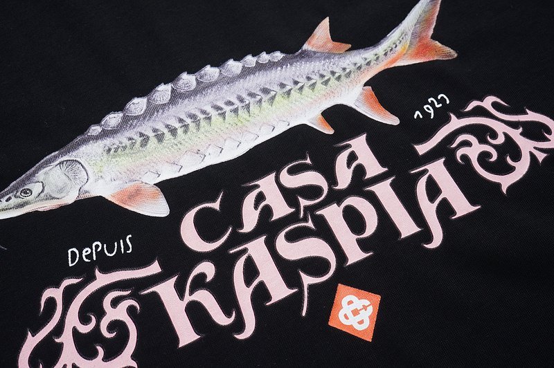 Футболка Casablanca Casa Kaspia Print "Black" фото № 5