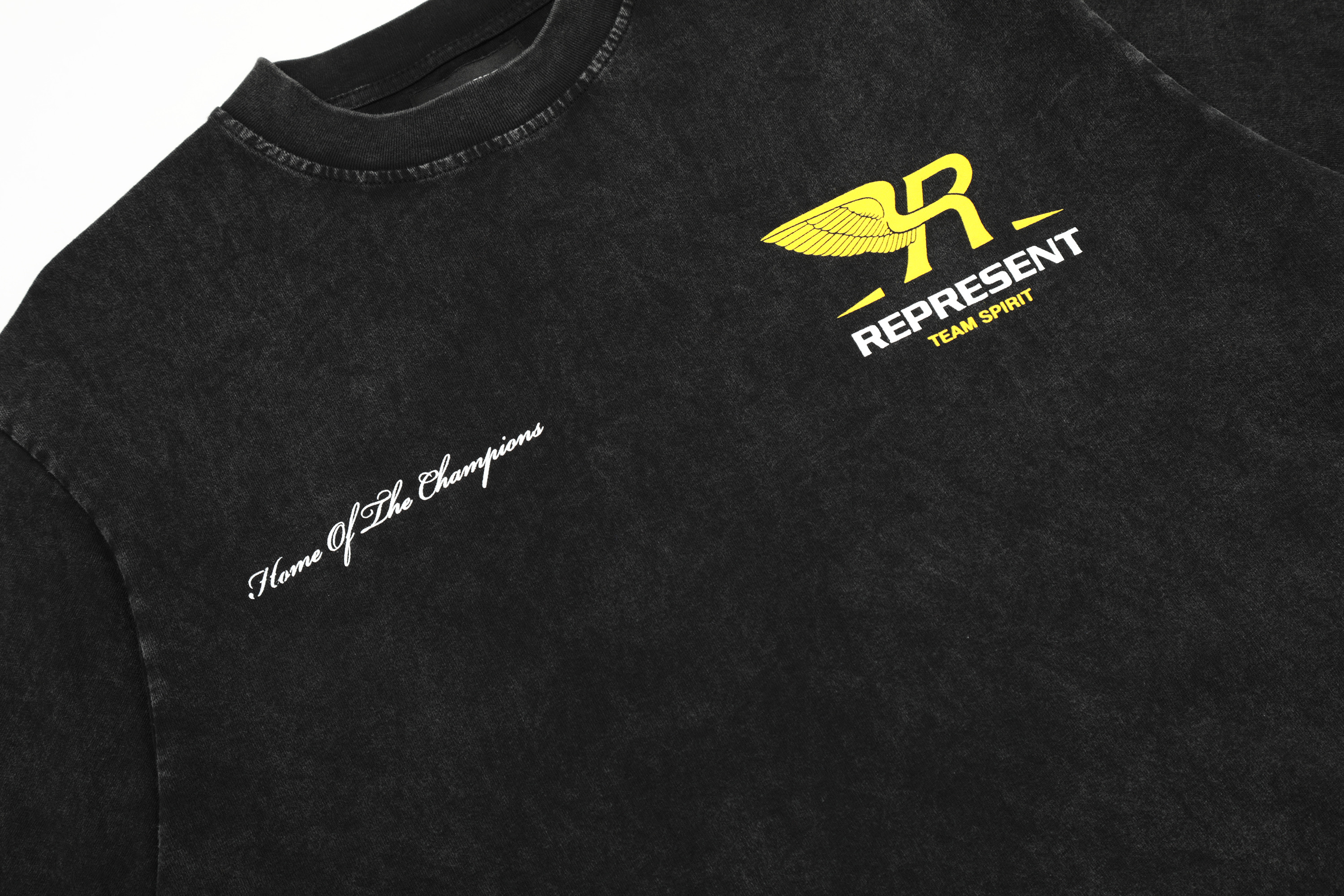 Футболка Represent Team Spirit R Wing "Black" фото № 8