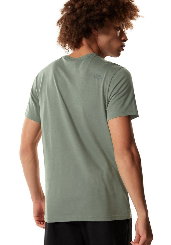 Футболка The North Face Logo "Green" фото № 7
