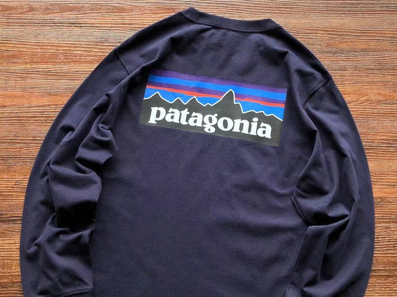 Лонгслив Patagonia Dark Mountain Landscape Print "Blue" фото № 2