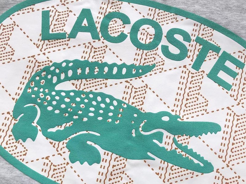 Свитшот Lacoste Big Crocodile And Logo Lettering In Oval "Gray" фото № 3