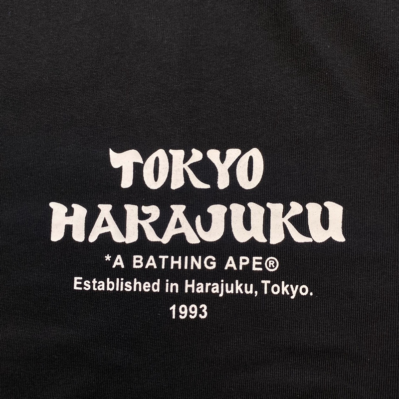Футболка A Bathing Ape Tokyo Harajuku "Black" фото № 2