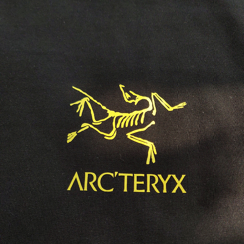 Футболка Arcteryx With Logo "Black" фото № 8