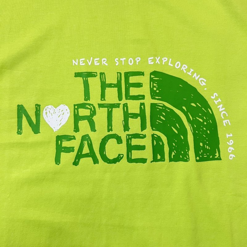 Футболка The North Face Never Stop Exploring "Green" фото № 4