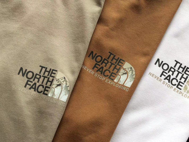 Футболка The North Face Logo With Back Inscription Never Stop Exploring "Brown" фото № 3