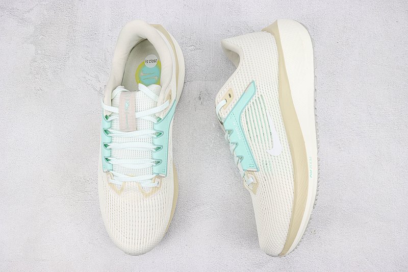 Nike Air Zoom Pegasus 40 "White/Ice Blue/Ivory Mesh" фото № 6