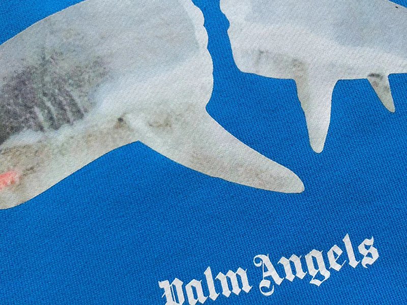 Худи Palm Angels Shark Divided Into Two Parts "Blue" фото № 5