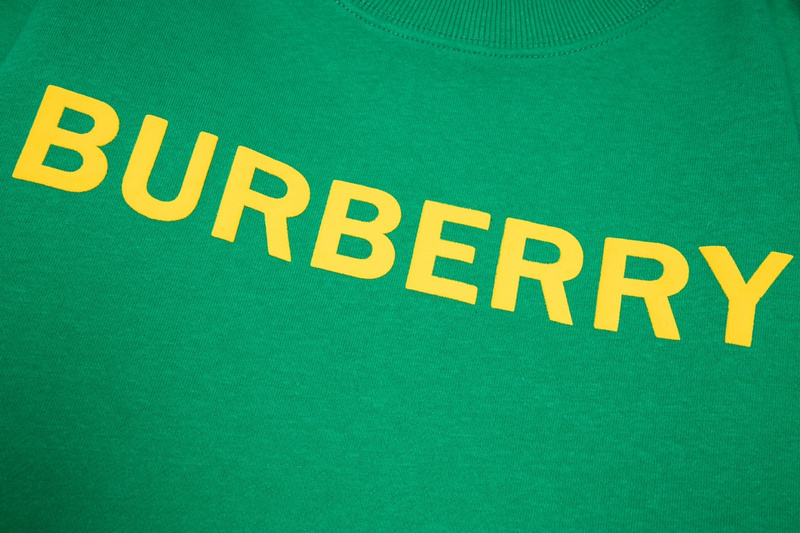Свитшот Burberry Baggy "Green" фото № 3