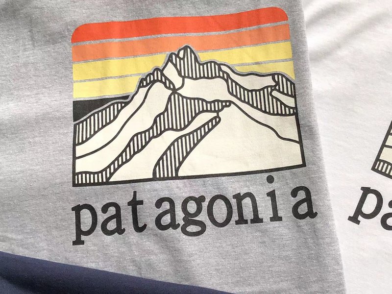 Лонгслив Patagonia Mountain Landscape Back Print "Gray" фото № 5