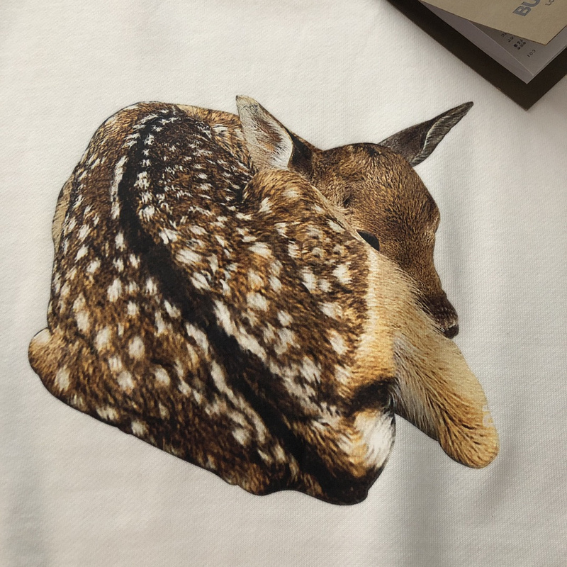 Свитшот Burberry Fawn "White" фото № 5