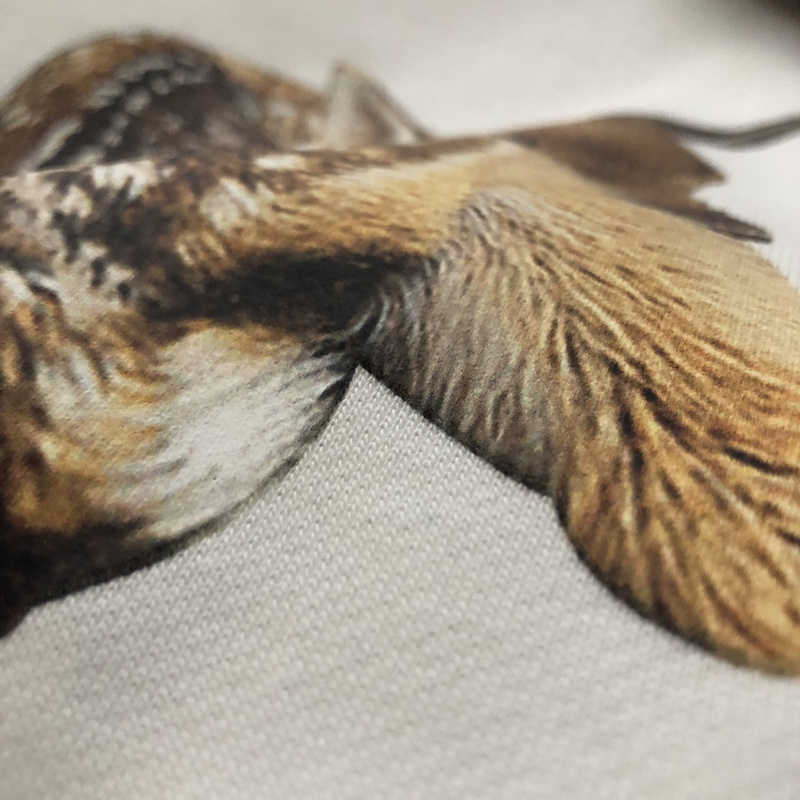 Свитшот Burberry Fawn "White" фото № 8